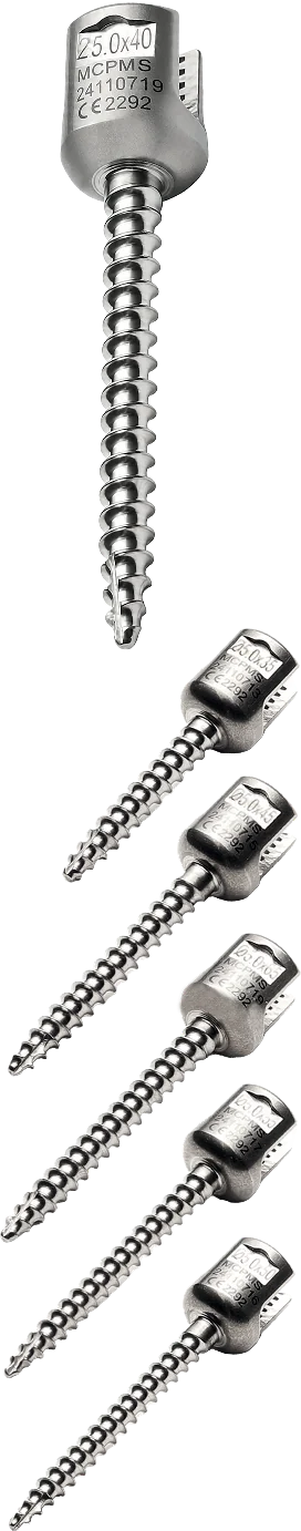 Posterior Monoaxial Screw – catalogue image