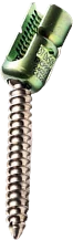 Posterior Polyaxial Spondylolisthesis Screw – catalogue image